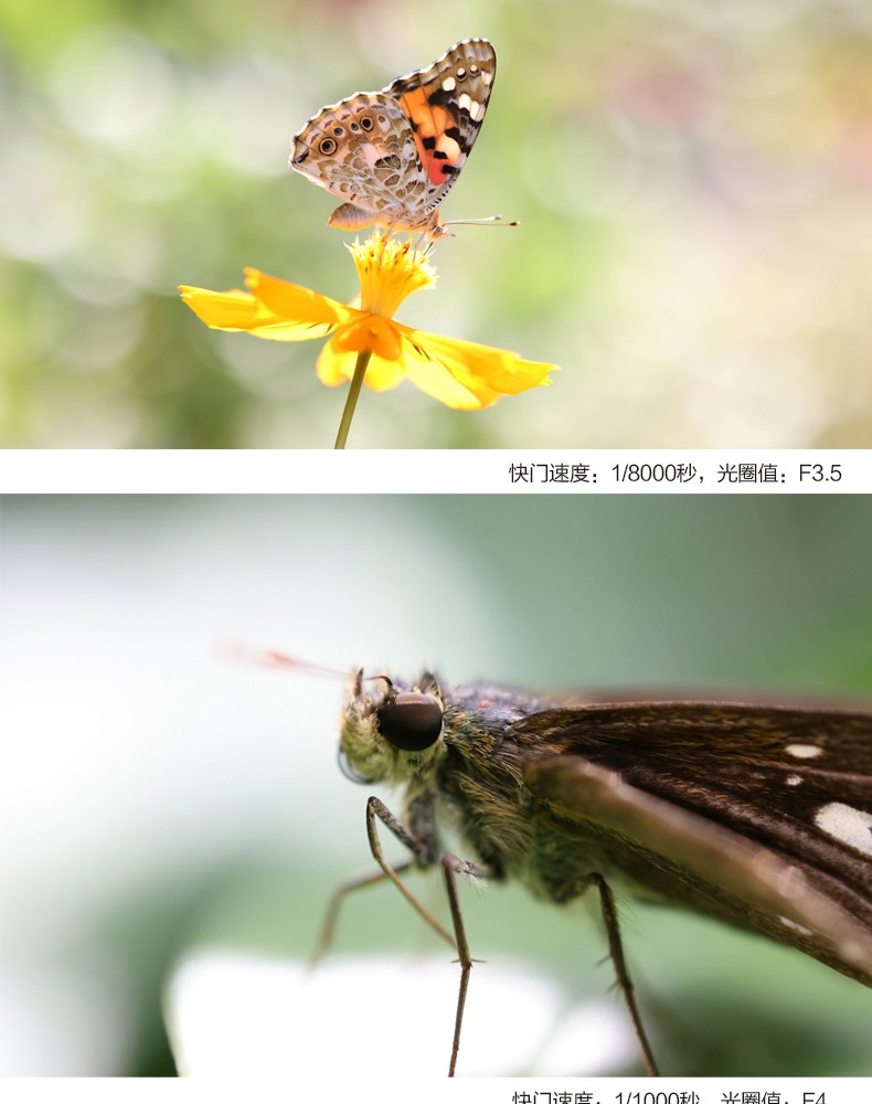 佳能(canon) rf100mm f2.