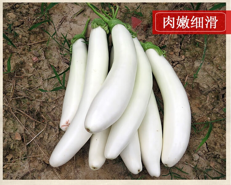 新鲜白茄子白玉茄子白长茄子公主白茄3斤