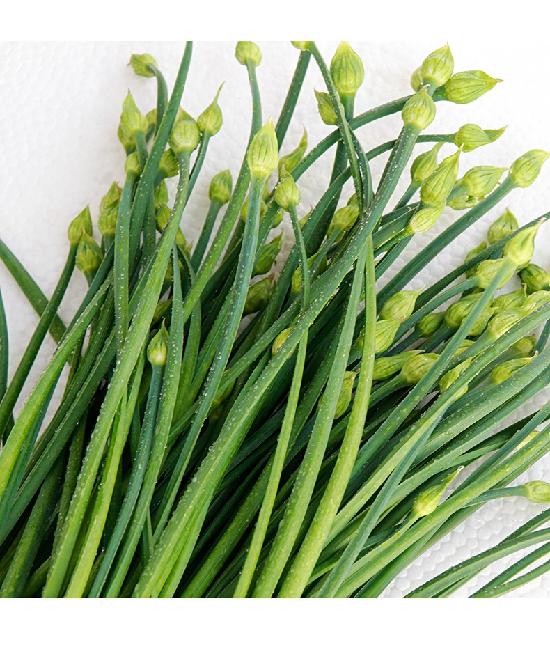 春光岛【jd物流】福建漳州韭菜苔新鲜蔬菜农家种植韭菜花食用韭花韭菜
