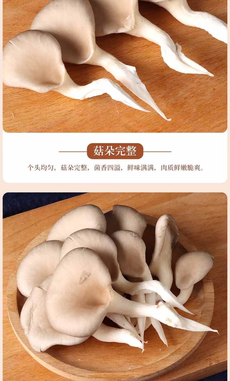 七河有机新鲜平菇侧耳蘑菇食用菌新鲜菇健康轻食现摘现发新鲜蔬菜有机