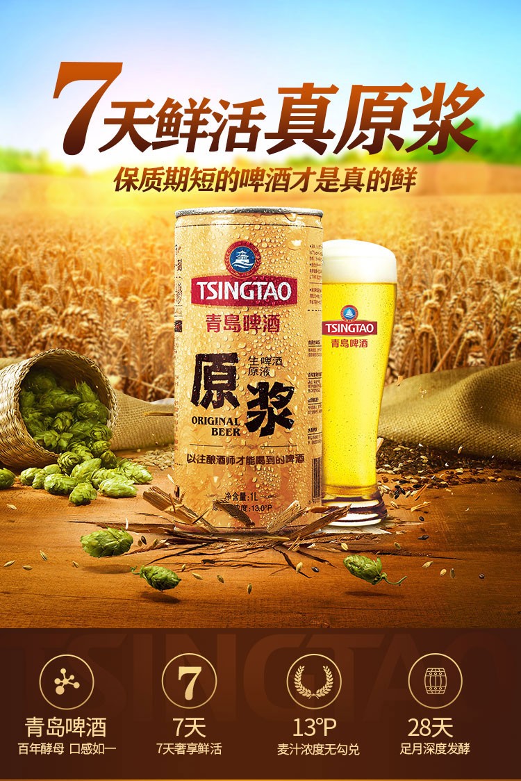 青岛啤酒tsingtao原浆精酿青岛原浆啤酒生啤扎啤原液7天鲜活整箱节日