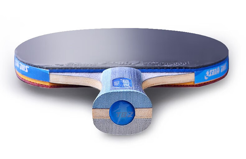 红双喜(dhs)9星乒乓球拍 - 九星级天极蓝专业级高阶比赛用碳素蓝海绵