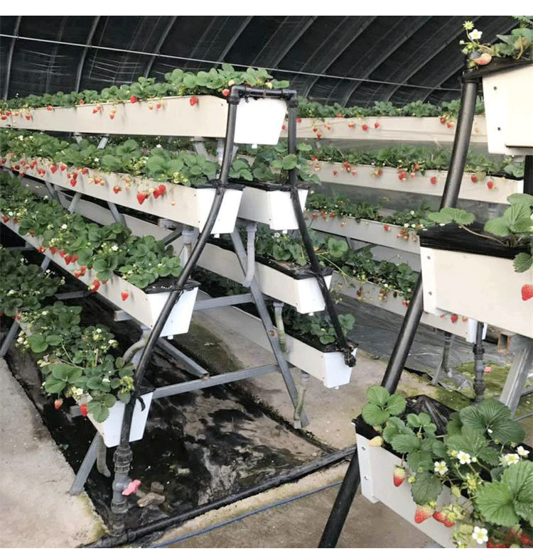 鲸榜空中草莓蔬菜栽培系统多层立体式种植槽管a字架无土水基质智能