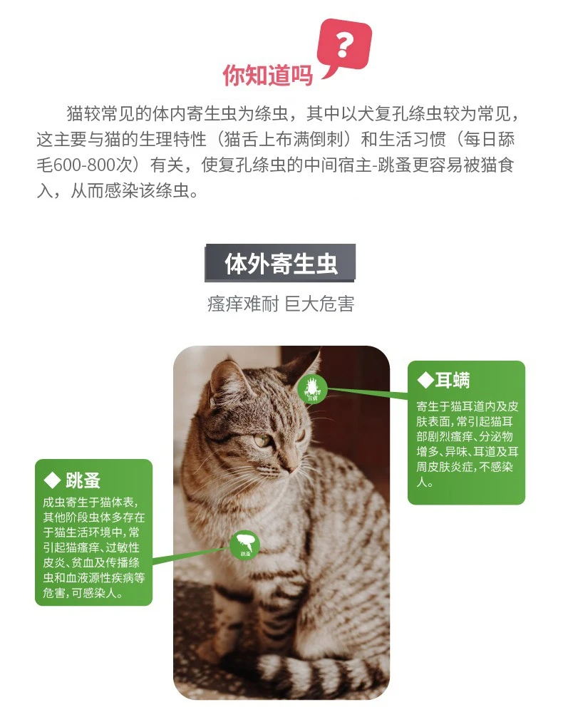 海乐妙宠物猫体内外猫咪驱虫药猫寄生虫猫用打虫药海乐妙56mg单粒 爱沃克0 8ml 驱虫套装 海乐妙宠物猫体内外猫咪驱虫药猫寄生虫猫用打虫药海乐妙56mg单粒 爱沃克0 8ml 驱虫套装