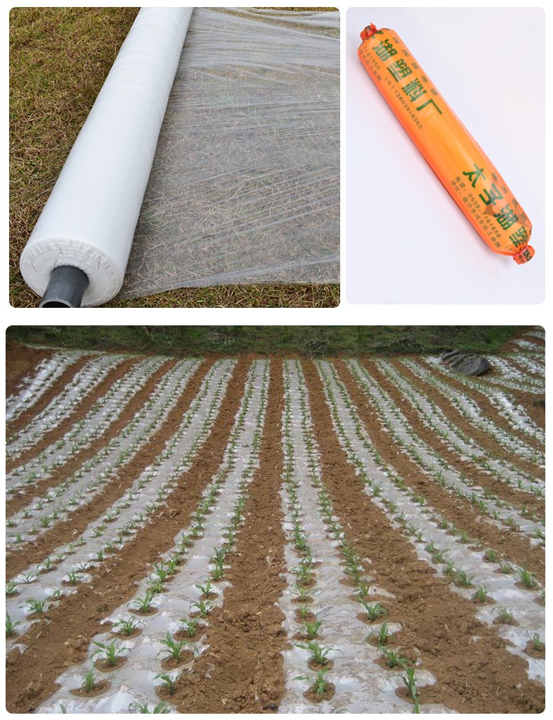 地膜农用白膜反光膜塑料薄膜除草膜缠绕膜蔬菜大棚膜保温保湿果园透明