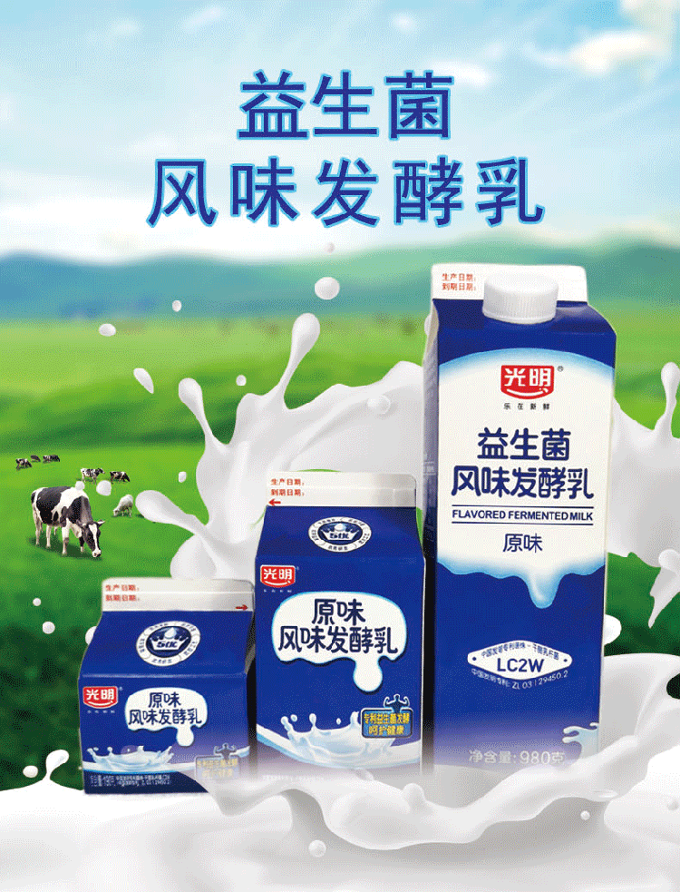 光明酸奶益生菌风味原味发酵乳酸菌低温酸牛奶饮品饮料酒店餐饮学生