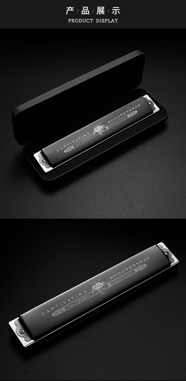 进口音簧天鹅24孔复音口琴c调初学者学生入门成人高级专业演奏级乐器