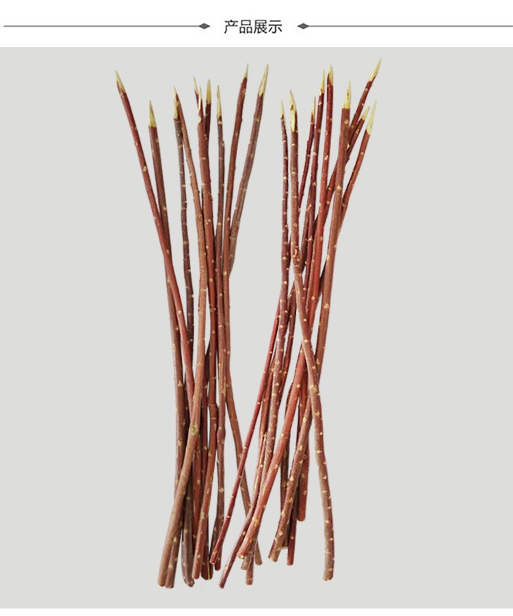 克来比 新疆红柳枝红柳烤肉签子烧烤肉签羊肉串签子红柳木串肉烤串签