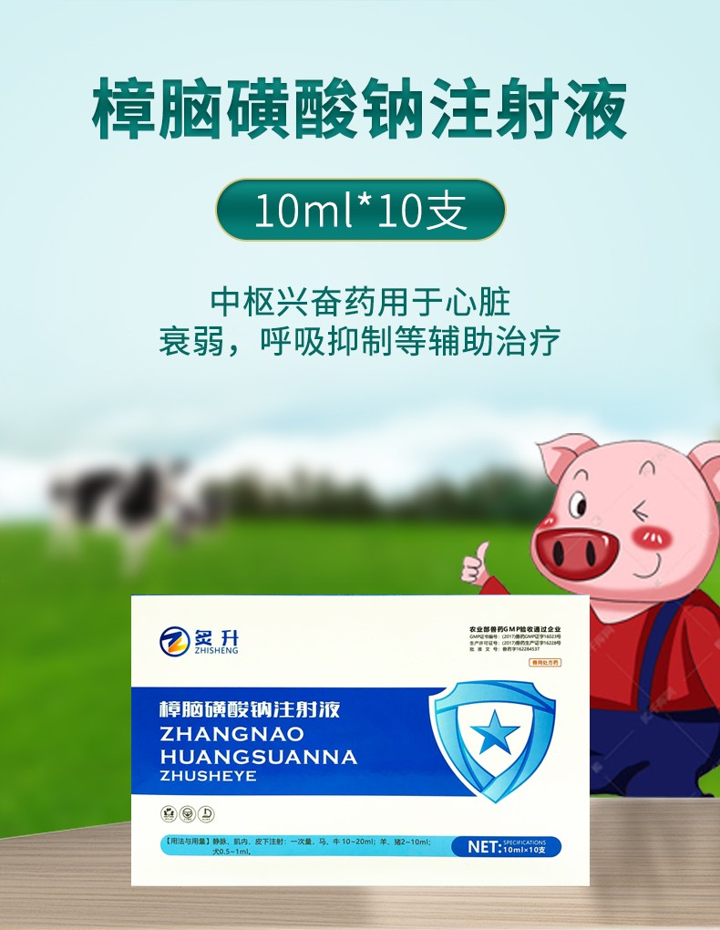 炙升樟脑磺酸钠注射液兽用药猪牛羊狗猫低温强心救命针升温针剂不吃食