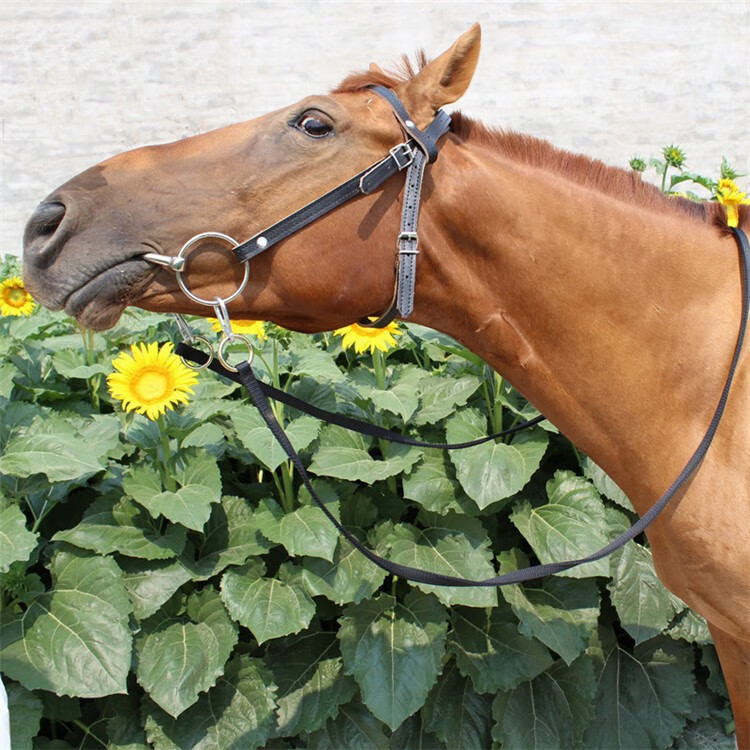 sheng bi jiu 牛皮水勒缰绳马嚼子全套用品马具大小矮马笼头双线缰绳