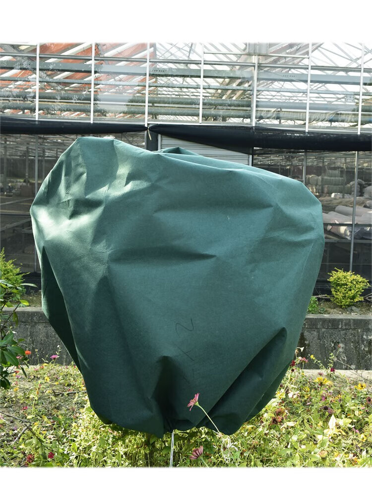 植物防寒保温罩袋防冻树木防风无纺布保护园林绿化包裹缠树布盆栽果树