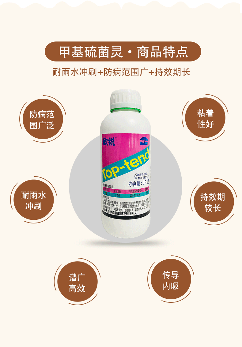中迅康护50甲基硫菌灵悬浮剂果树多肉花卉植物白粉病小麦烂穗病叶霉病
