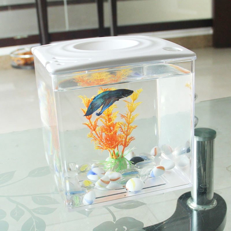 日生艾柯星aw30迷你亚克力带灯套装微型缸苹果窗鱼缸水族箱鱼缸