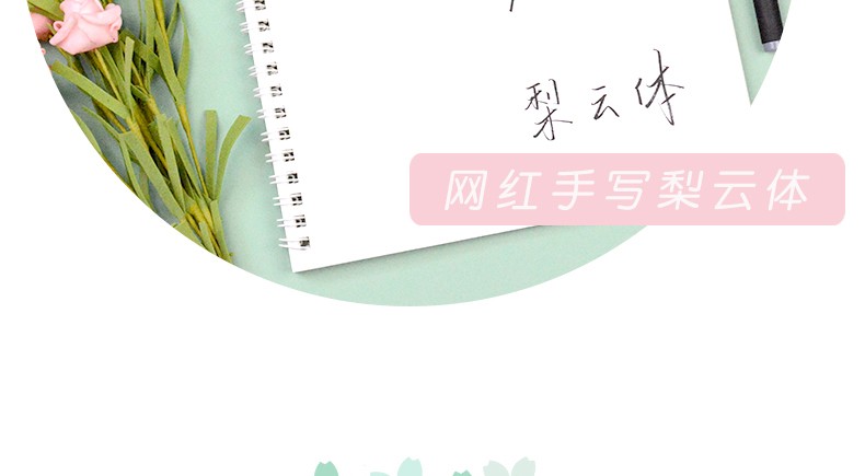 游居敬亭轩梨云体字帖成人硬笔书法练字本漂亮字临摹行楷钢笔练字帖