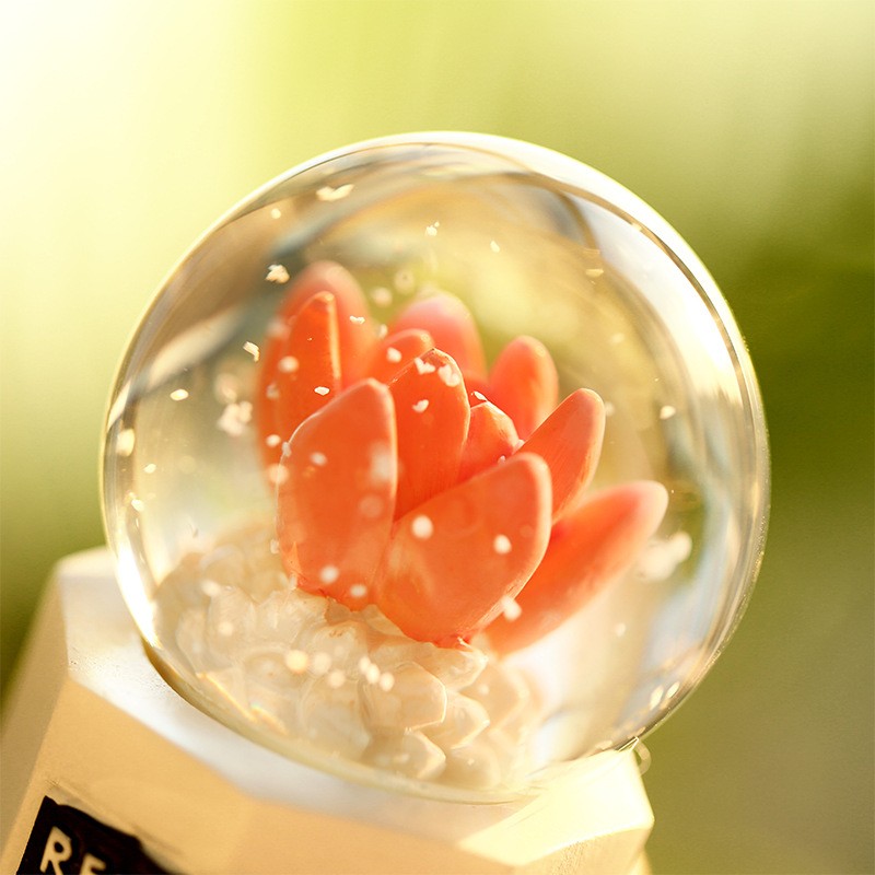 绿速小清新植物小多肉水晶球儿童节礼物送闺蜜520送女朋友高中学生