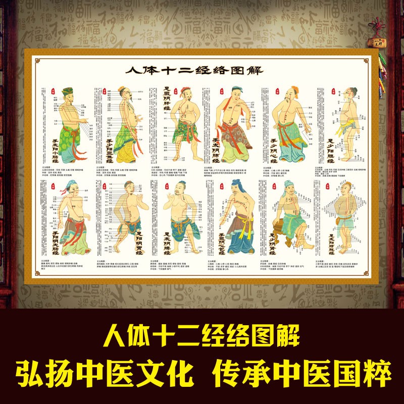 中医养生馆按摩身体12人体十二经络穴位图大挂图艾灸穴位图解全身90寸