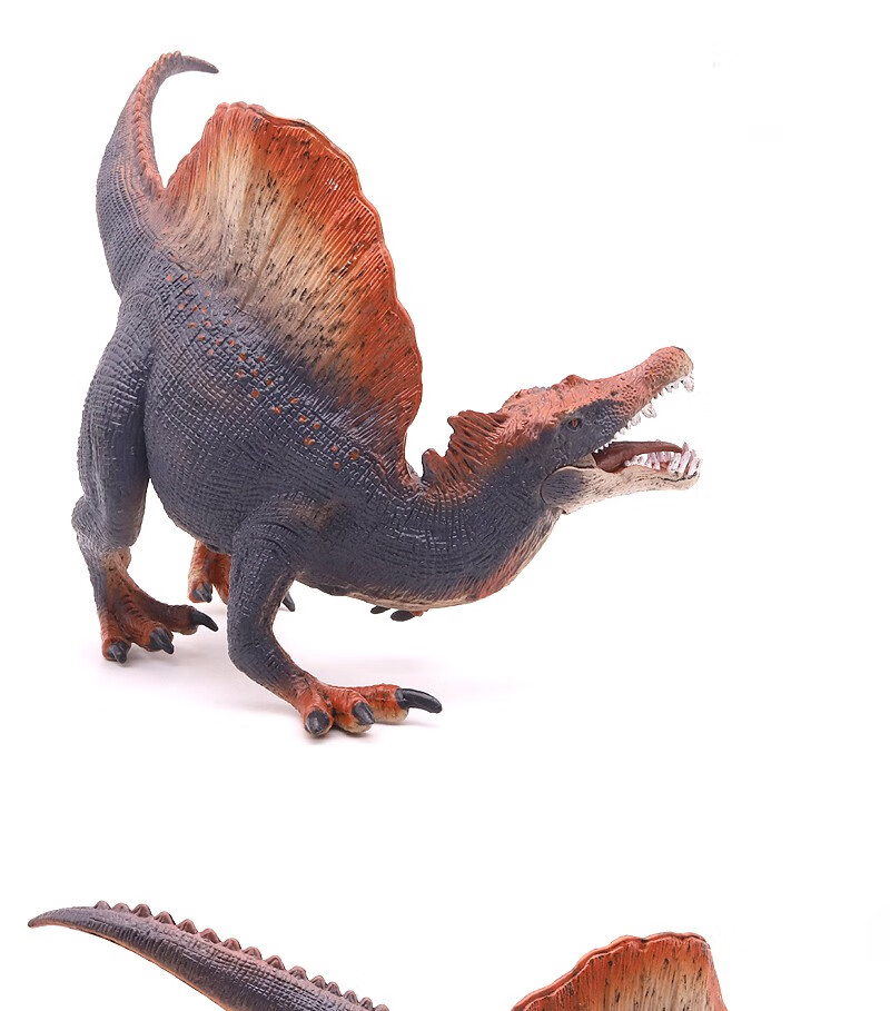 林中鸟棘龙 侏罗纪仿真埃及棘龙模型脊龙摩洛哥棘背龙玩具恐龙动物