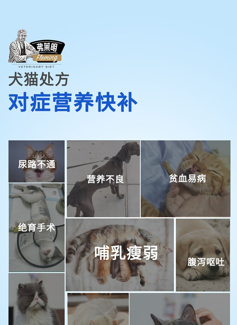 9a498e2b2f00e104.jpg