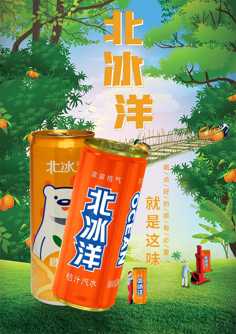 北冰洋老北京饮料橙桔双拼汽水330ml24听整箱