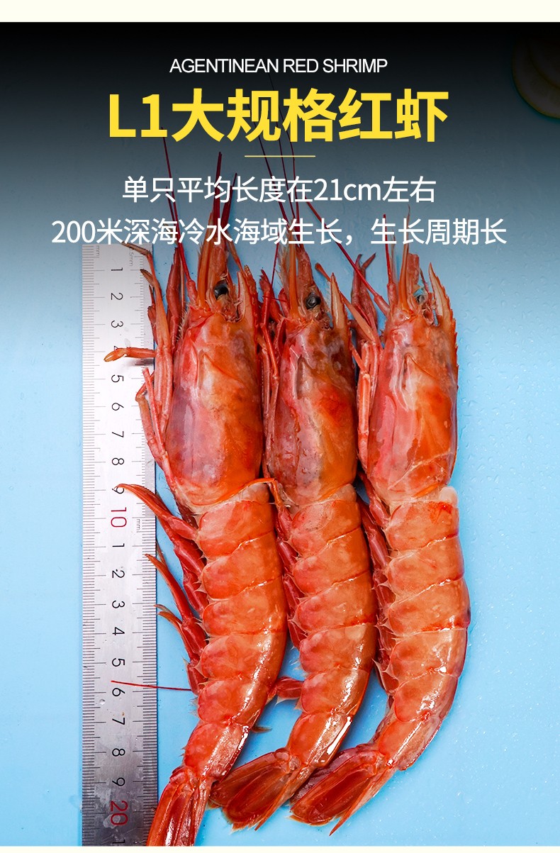 产地直采阿根廷大红虾l1级1921cm净重500g1921cm约1012尾