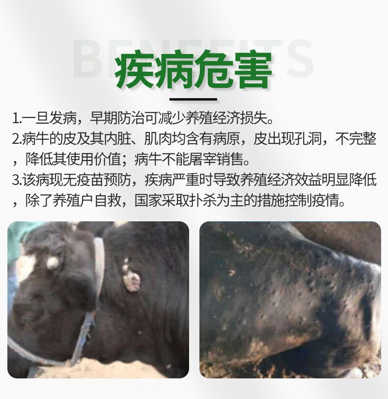 今牧原牛结节病兽药牛结清注射液牛结节康兽药牛疙瘩痘疮鼓包流脓皮肤