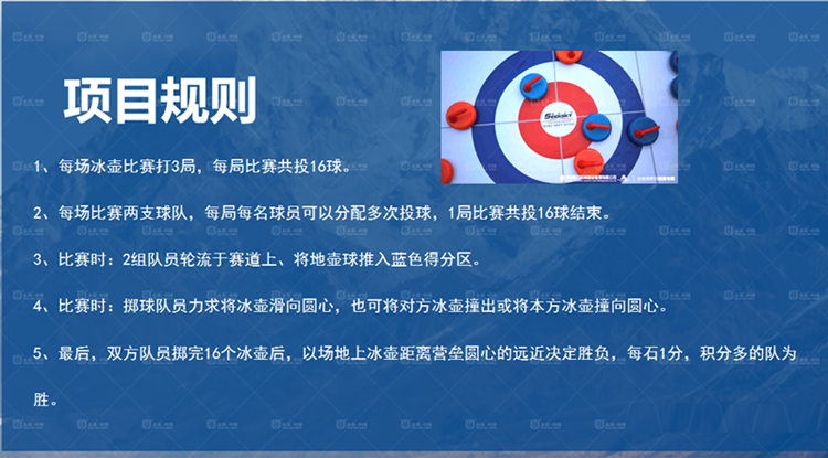 滚珠冰上溜石桌游卡牌冰面旱地冰壶球地壶球标准运动赛道冰壶拓展