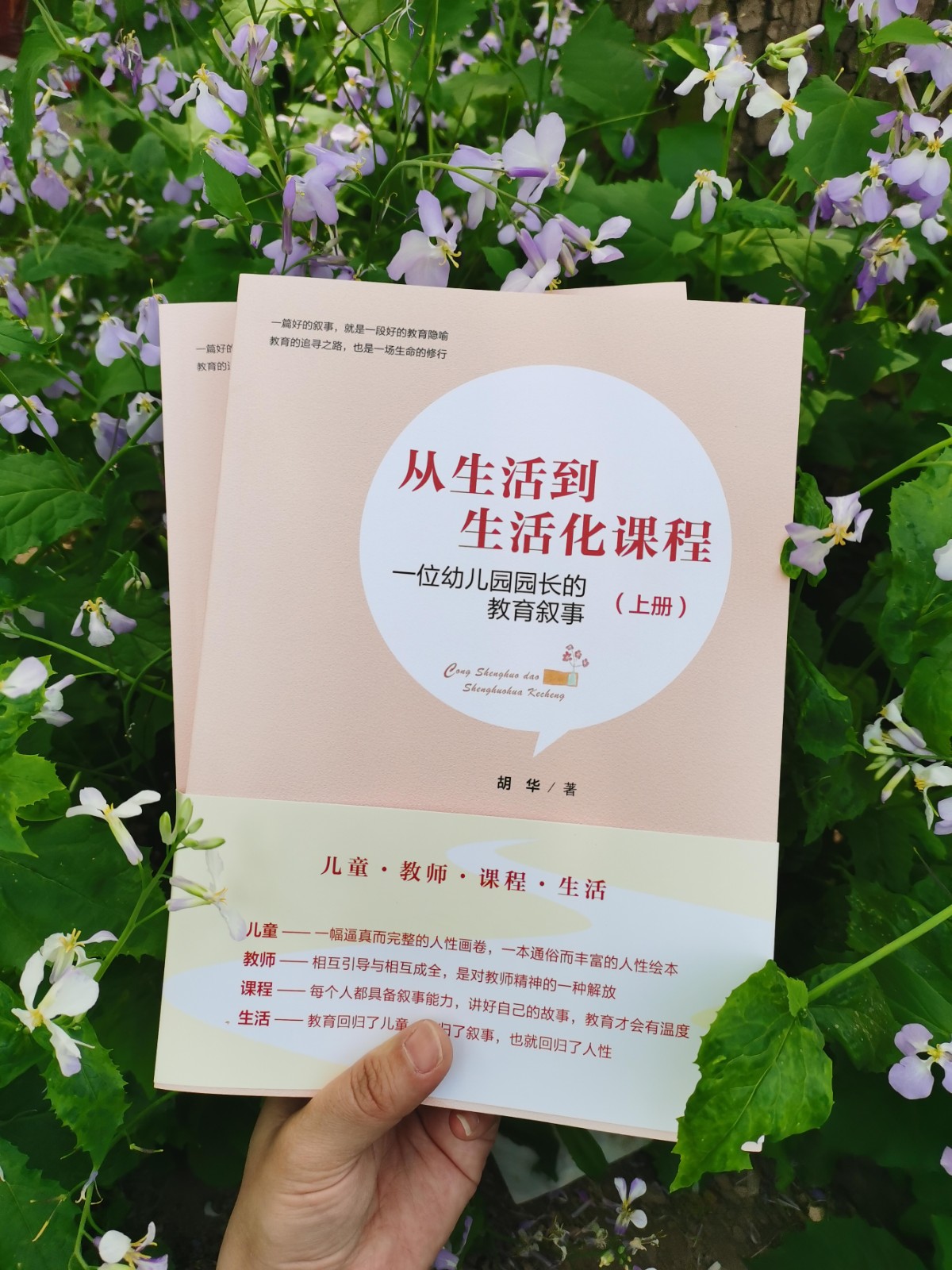 从生活从生活到生活化课程:一位幼儿园园长的教育叙事上册下册 胡华