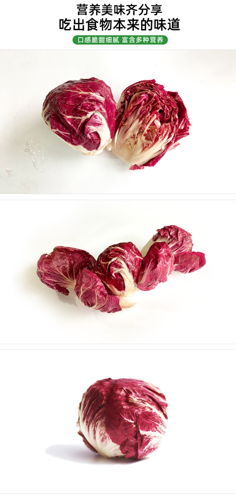 新鲜红包蔬菜红菊苣健身西餐厅沙拉菜1500g