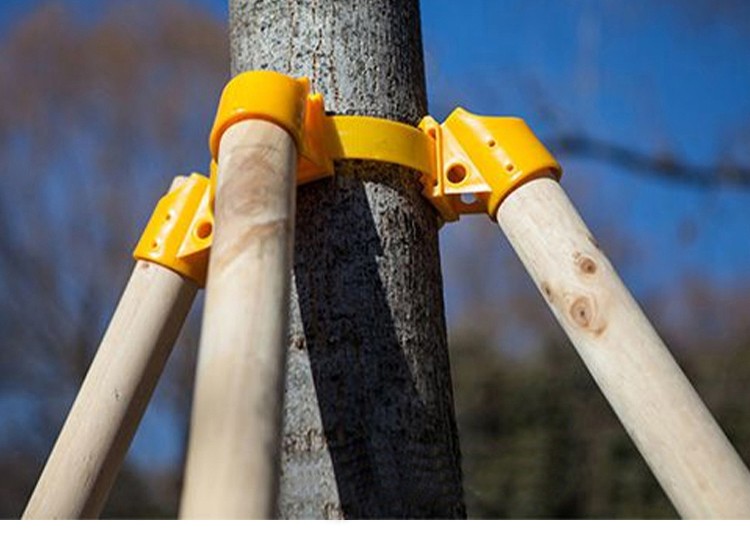 智绿树木支撑套杯大树支架塑料固定器绿化工程支架支撑杆移栽防风卡扣