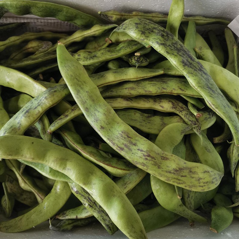 【顺丰发货】东北豆角马掌新鲜菜蔬菜农家花道油豆角特产现摘有,机汇