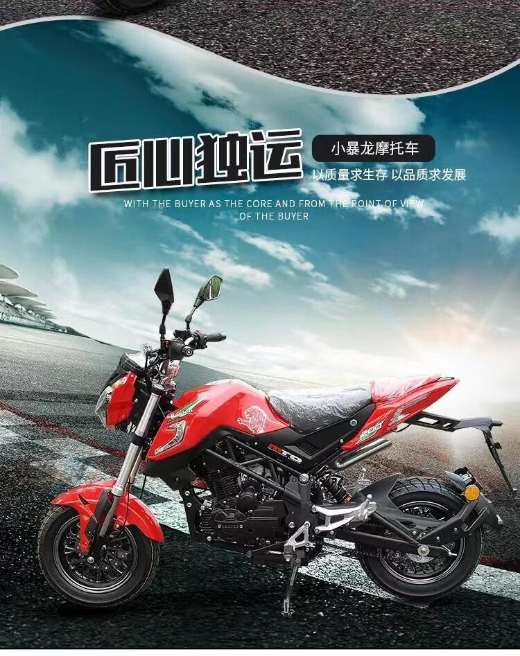 国四新款电喷宝雕小暴龙200cc小怪兽小猴子m3大公仔迷你特技街车代步