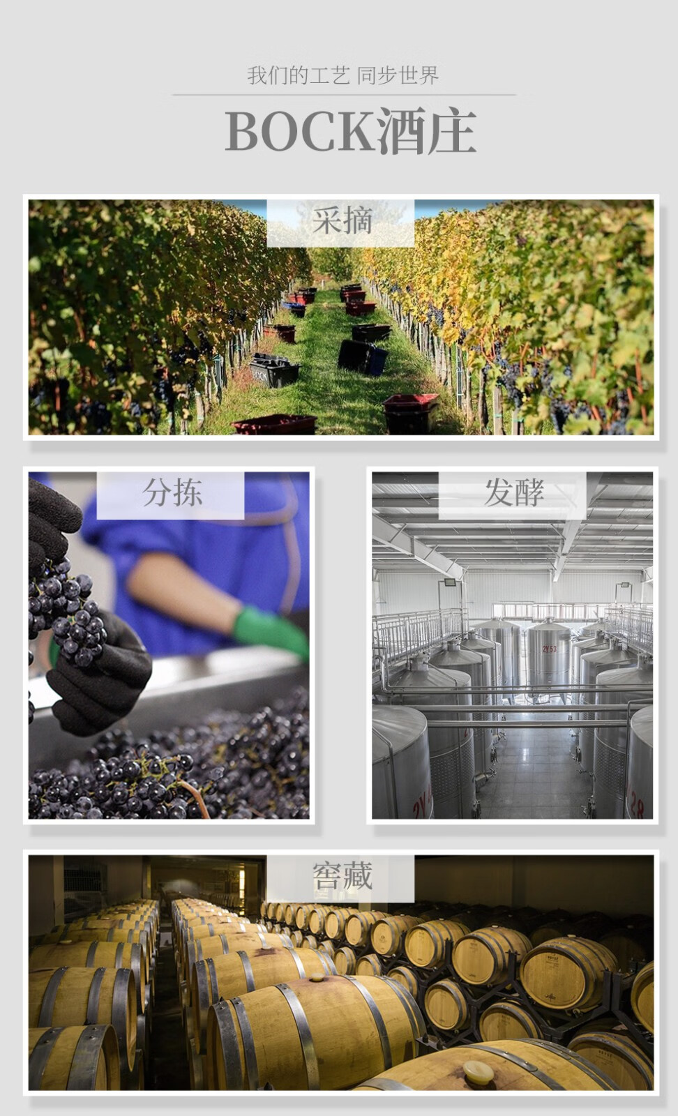 匈牙利进口葡萄酒酒bock博克酒庄梅洛干红聚会小酌送礼商务宴请2016