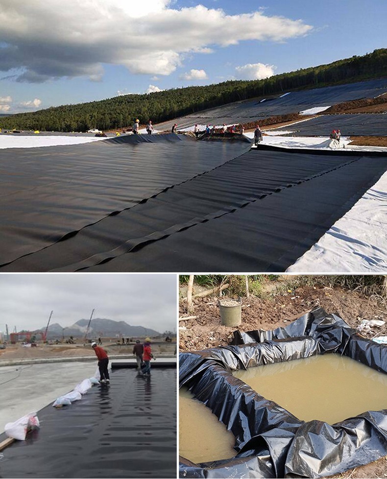 鱼塘防渗膜防水膜黑色厚塑料布养殖鱼塘专用土工膜池塘藕塘防水布 50s