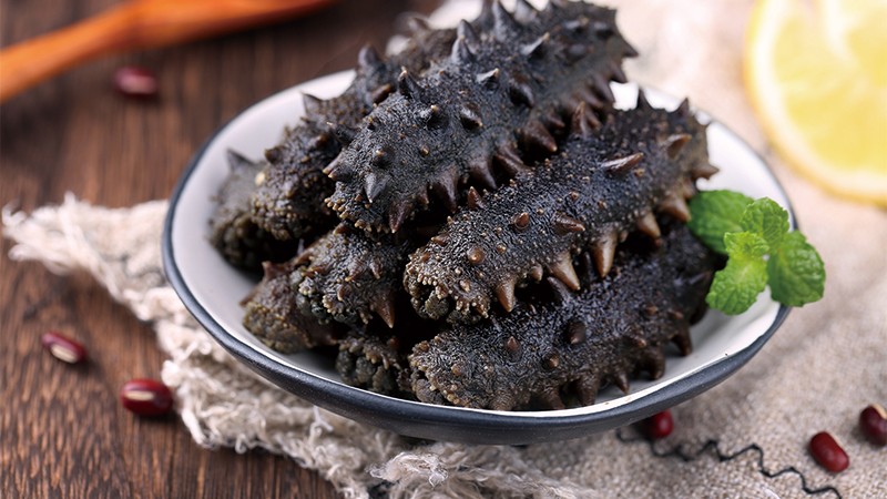 溪南海福建霞浦拉缸盐半干海参半斤到一斤装福建海参鲜活辽参刺参海渗