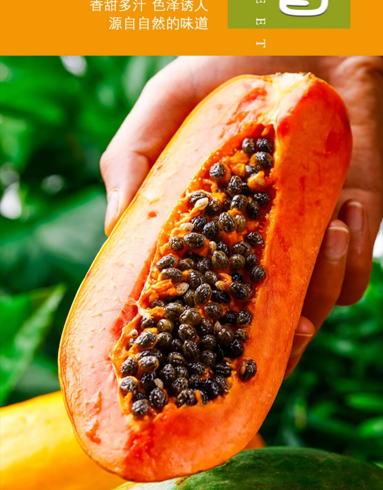 精选树上熟海南红心牛奶木瓜冰糖心木瓜3斤