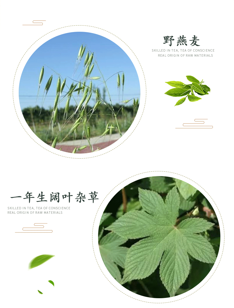 祥龙丢锄55苯磺隆唑草酮2甲四氯钠双氟磺草胺小麦田专用除草剂阔叶