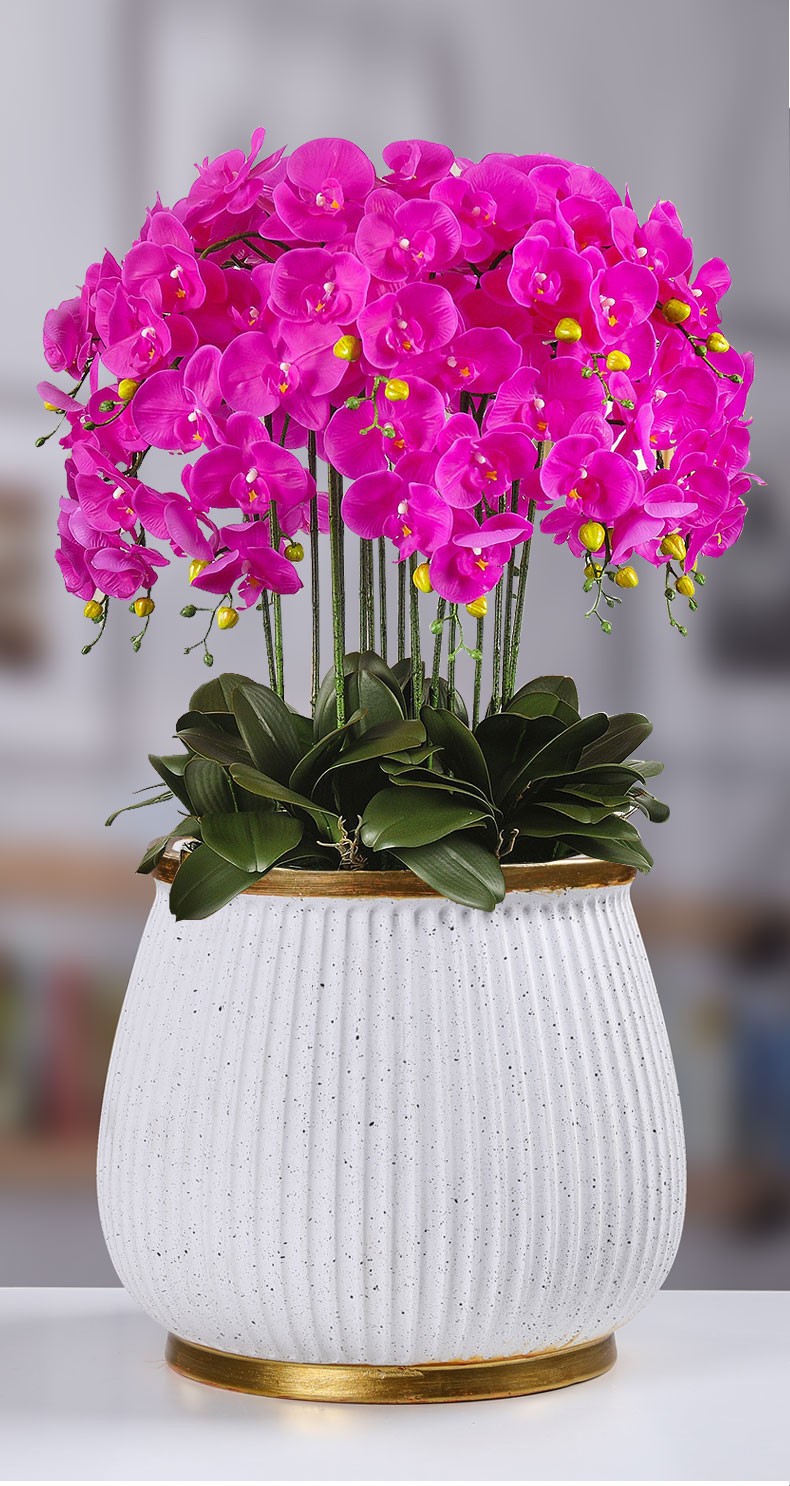 裕轩堂简约圆形氧化镁花盆树脂塑料仿陶瓷室内阳台庭院幸福树蝴蝶兰