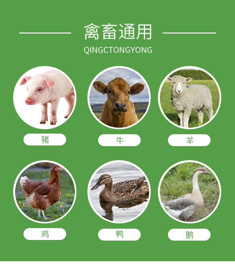 迅销兽用柴胡粉猪牛羊鸡鸭感冒发热发烧高热咳嗽抵抗病毒退烧葛根粉