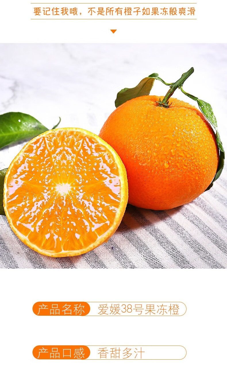 四川爱媛38号果冻橙新鲜橙子当季水果橙子 9斤中果(单果70-75mm)