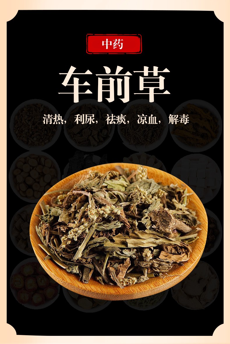 车前草500g可泡车前草茶无硫熏新鲜车前草中草药车前草干袋装可泡水