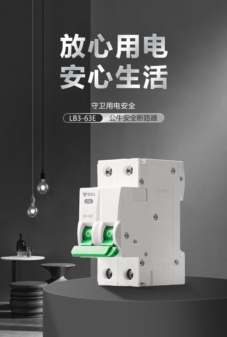 公牛空气开关 2p小型断路器 2p双极双进双出lb3-63e (10a-63a)可选