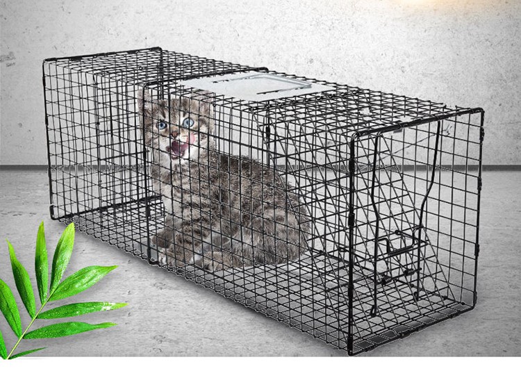 兰衍捕猫笼捕猫器救助捉猫笼驱赶野猫自动逮猫器抓猫笼镀锌银色不带