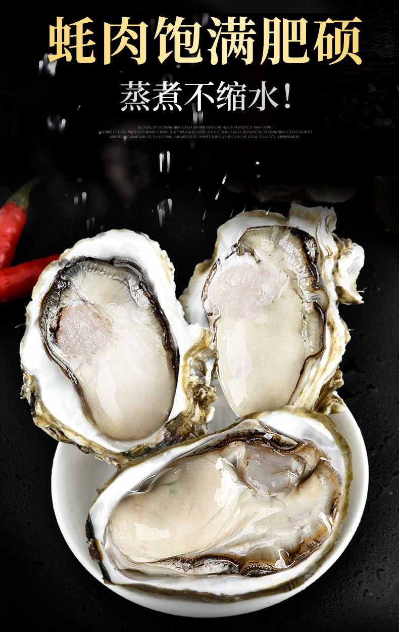 磐阙 鲜活生蚝 新鲜海蛎子带箱特大海鲜牡蛎贝壳水产品 xxxxl【(200g