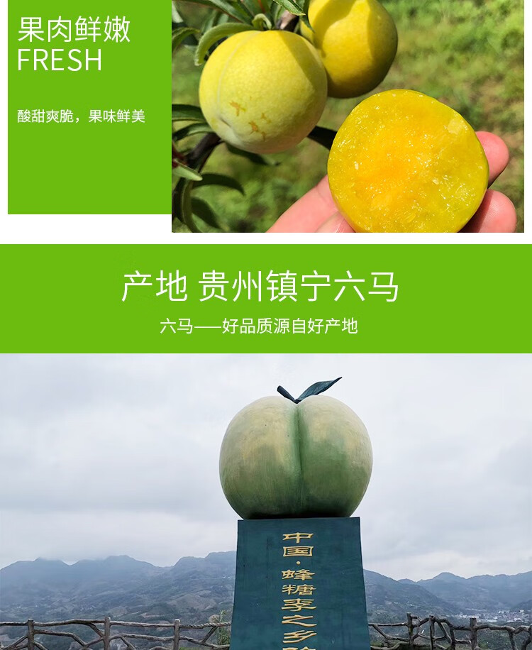 贵州国产/进口:国产包装形式:礼盒装类别:李品种:蜂糖李商品产地:中国