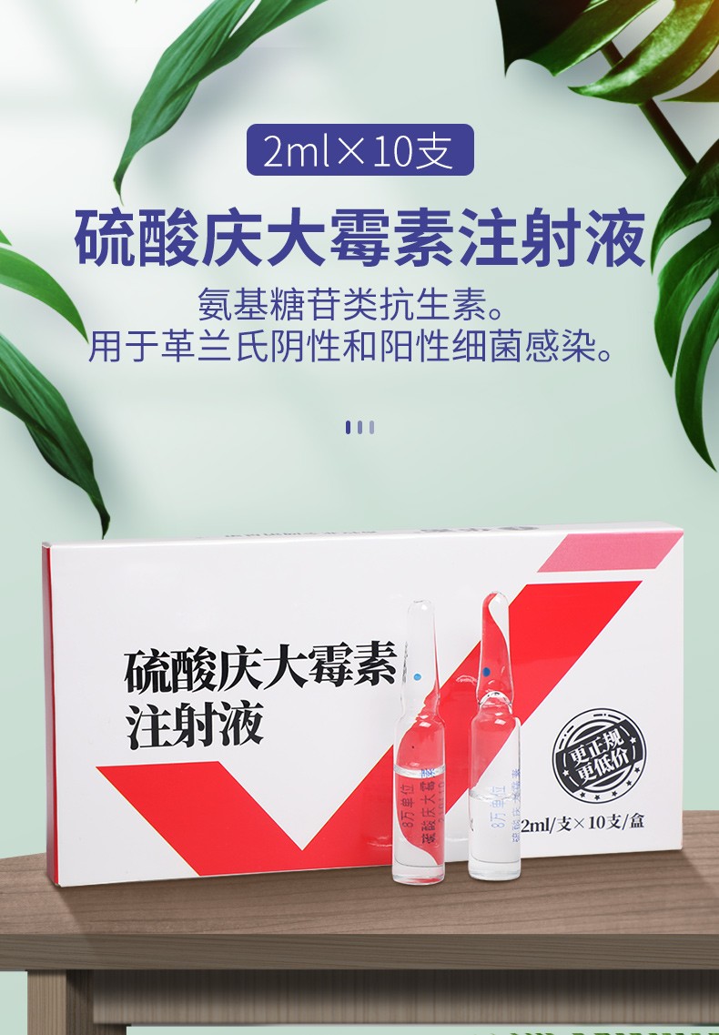 华畜 兽药硫酸庆大霉素注射液兽用猪牛羊马猫狗药腹泻拉稀肠炎 庆大