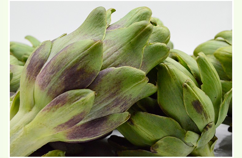 网红蔬菜之皇洋蓟法国百合artichoke产地直发现摘现发云南曲靖朝鲜蓟