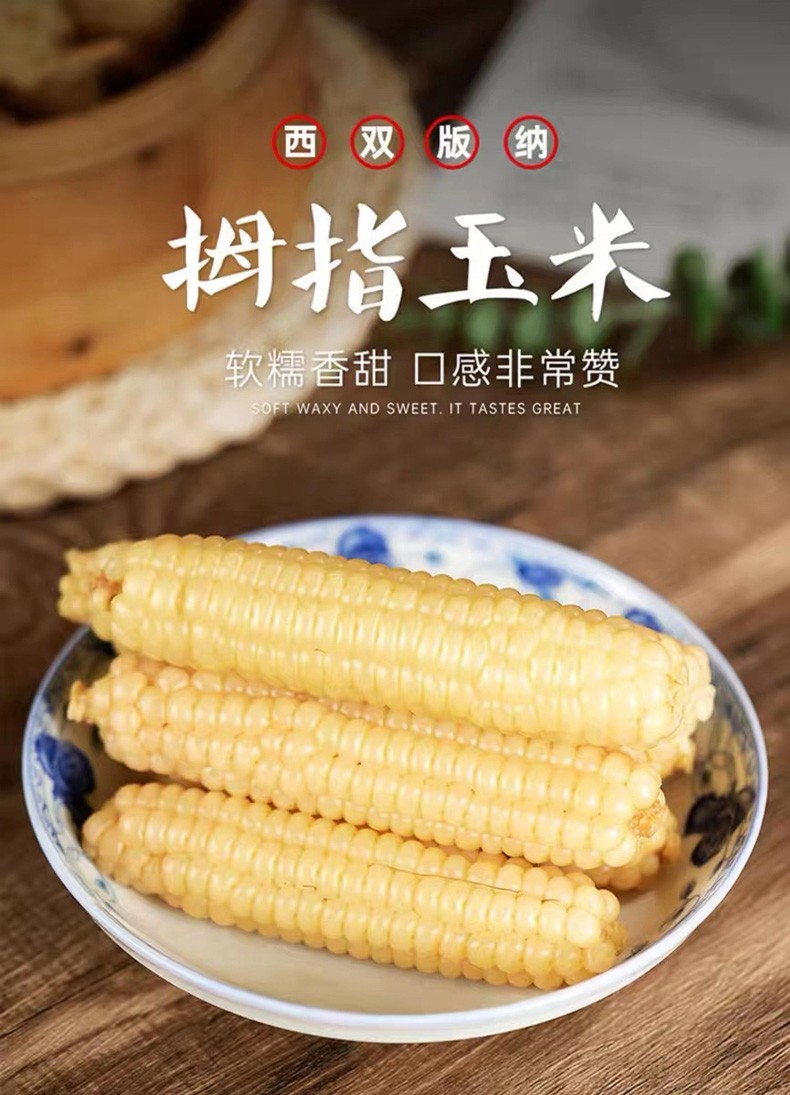 西双版纳拇指小玉米 花糯小玉米新鲜糯玉米蔬菜健康轻食 拇指小玉米4