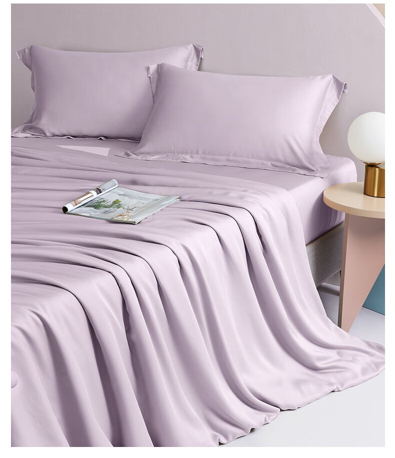 博洋家纺 天丝夏被空调被夏季薄款夏凉被夏天双人被子 100支天丝夏凉