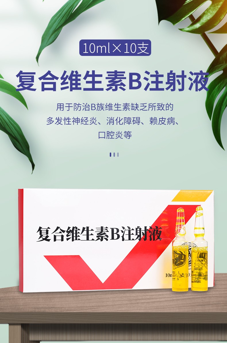 派克斯 兽药复合维生素b注射液 兽用猪药犬猫兔猪牛羊用赖皮病口腔炎