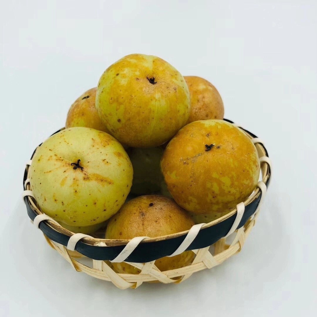 潮汕金灶特产崩坎甜油甘果5斤新鲜采摘余甘子榨汁孕妇水果柿饼油甘